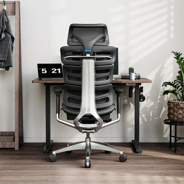 Best 5 Office Chairs for Back Pain 2025 - Newest Test