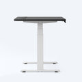 OdinLake Standing Desk S450 OdinLake